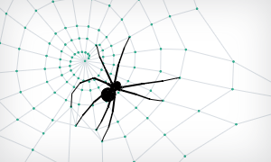 Spiderweb example